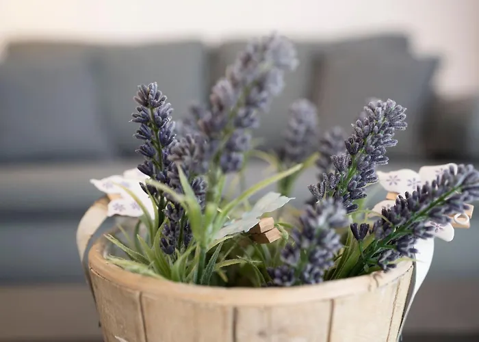 Lejlighed Haus Seeoase *